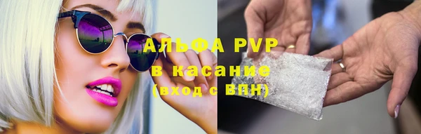 spice Осинники